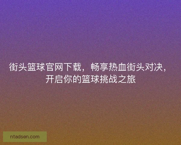街头篮球官网下载，畅享热血街头对决，开启你的篮球挑战之旅
